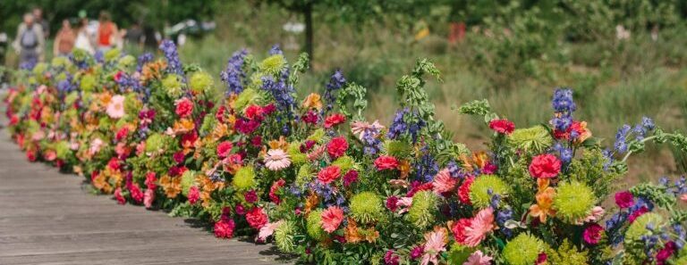 2026 Bloom at BSP Workshops